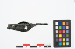 Foto von Bronzekahnfibel (NHMW-PRAE-024655)